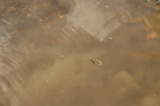 istock Splashing in the mud under the spring sun 1309464961