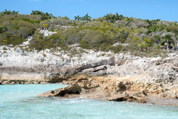 istock Half Moon Cay Island Rocky Coastline 1309467143