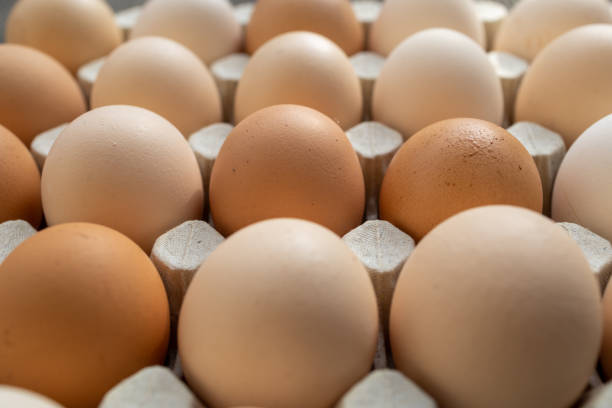 istock egg tray full of white speckled and brown chicken eggs in rows 1309467878