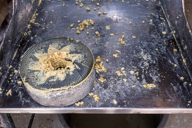 istock circular stone with spiral cuts used to grind corn and produce dough 1309468172