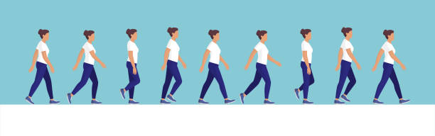 Woman walking cycle side view Female character walk cycle sequence side view same person multiple images stock illustrations