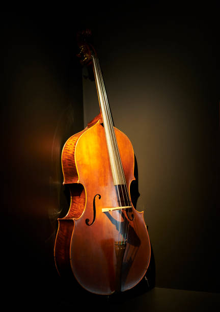 istock Close-up of a cello, against a black background 1309468292