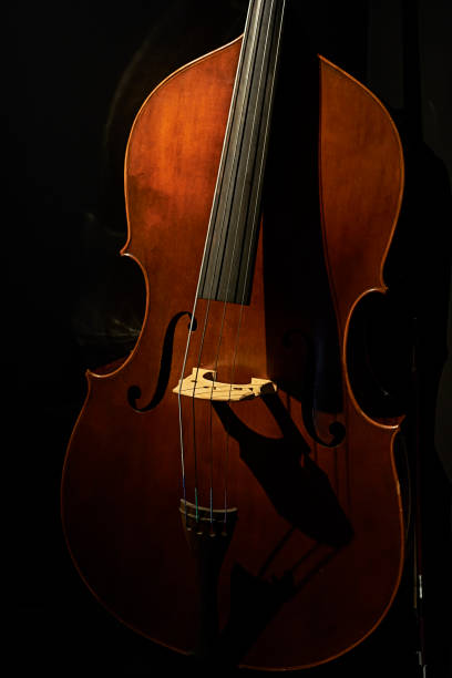 istock Close-up of a cello, against a black background 1309468295