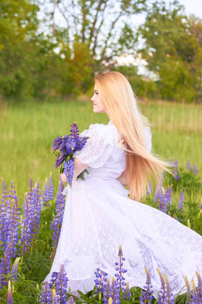 junge attraktive langhaarige blondine in einem weißen vintage-kleid unter einem lila feld von lupinen. das konzept von natur und romantik. - lupine single flower flower blue stock-fotos und bilder