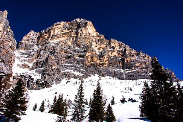 istock pines, snow and dolomites_3 1309469239