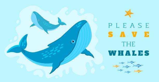 Please Save The Whales Horizontal Vector Poster Stock Illustration -  Download Image Now - Fish, Threats, Endangered Species - iStock