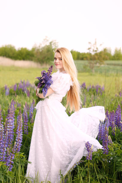 junge attraktive langhaarige blondine in einem weißen vintage-kleid unter einem lila feld von lupinen. das konzept von natur und romantik. - lupine single flower flower blue stock-fotos und bilder