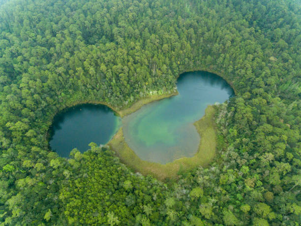 istock Montebello lagoon chiapas mexico 1309474629