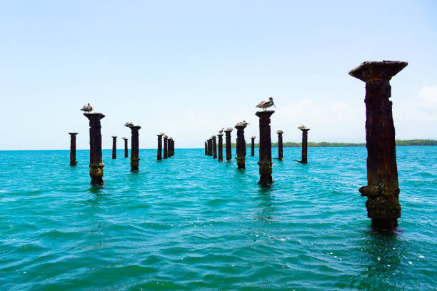 istock Piles in the sea 1309475344