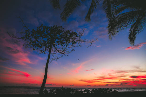 istock Sunset at Kewalo Basin Park 1309479166