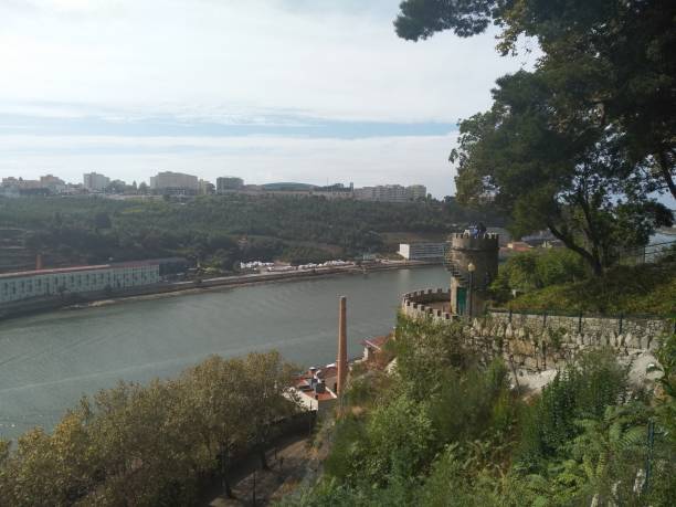 istock Views of the Douro 1309481290