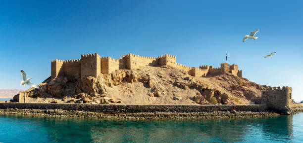 Fortress of Saladin on the Pharaoh Island in Taba, Egypt. Panoramic view on ancient Fortress of Saladin on the Pharaoh Island in the Gulf of Aqaba and flying seagulls over the Red Sea. Old Castle of Sultan Salah ad-Din in Taba, travel on Sinai Peninsula. taba stock pictures, royalty-free photos & images