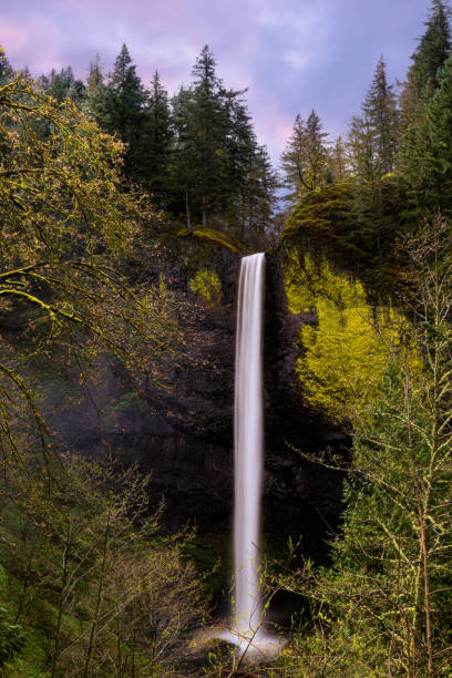 istock Latourell Falls from Trail Overlook on a Spring Day 1309484329