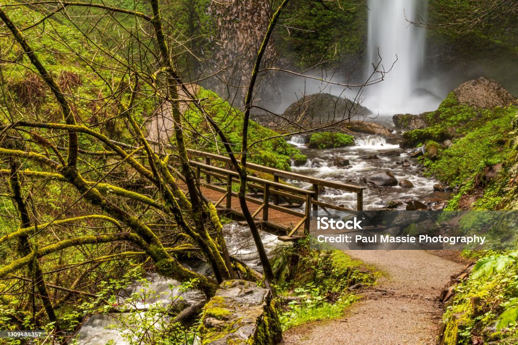 Latourell Falls Stream Hit Bottom Mist, Stream, Bridge and Rainforest Wooden bridge crosses Latourell Falls stream just after it crashes to bottom of falls riverbed Bridge - Built Structure Stock Photo