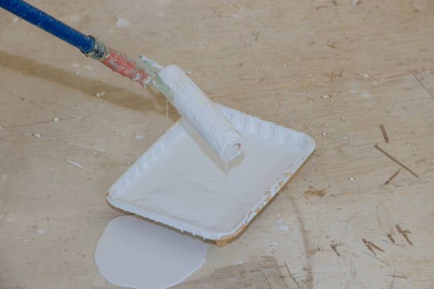 istock Roller is wetted in a liquid primer in a plastic container before painting the walls with paint 1309489372
