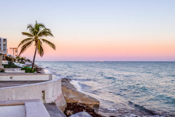 istock Sunset over the Sea 1309490151
