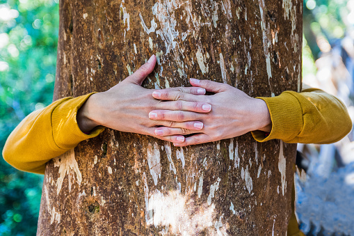 Woman hugging a big tree trunk
