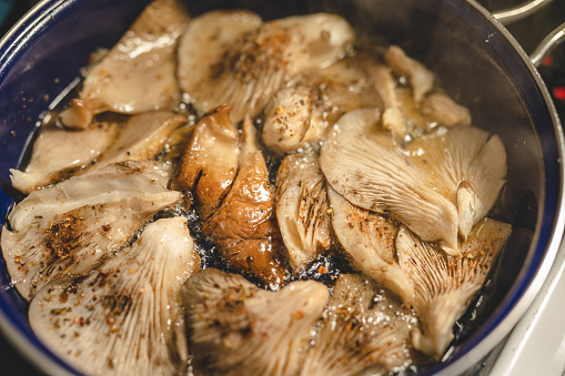 Oyster Mushroom Pleurotus ostreatus close up cooking in the fry pan