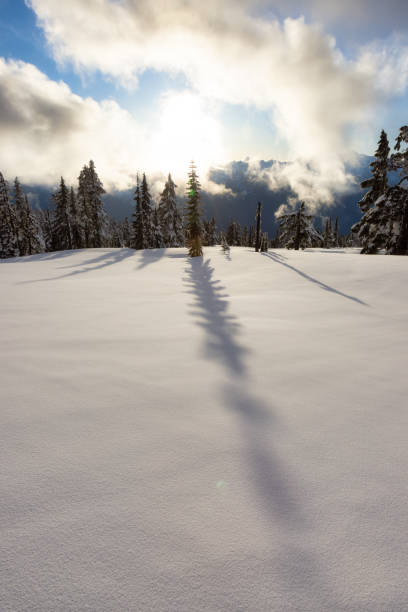 istock Canadian Nature Landscape 1309504788