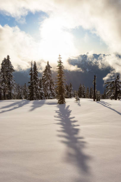 istock Beautiful Canadian Nature Landcape 1309504815