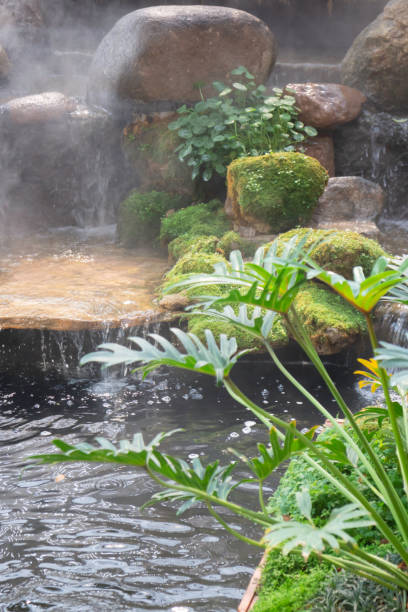 istock Varieties tropical rainforest foliage plants 1309506605
