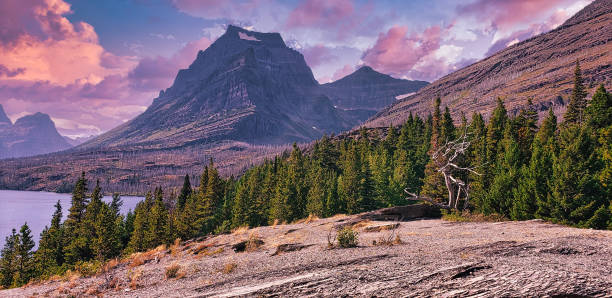 istock Glacier national park 1309511812