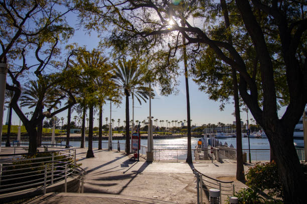 istock Corner of Long Beach bay 1309524693