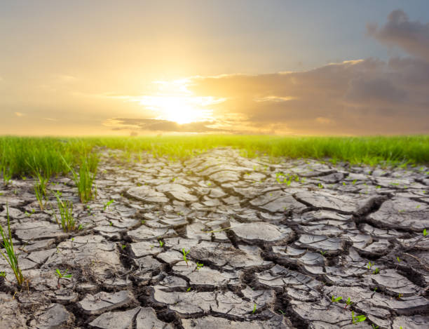 istock dry cracked ground at the sunset 1309525592