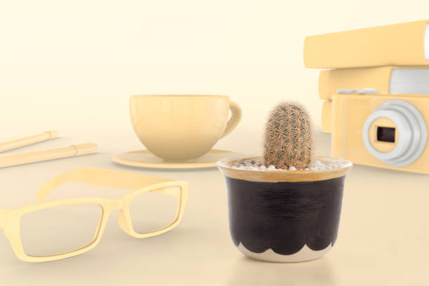 mammillaria cactus pots placed on the desk