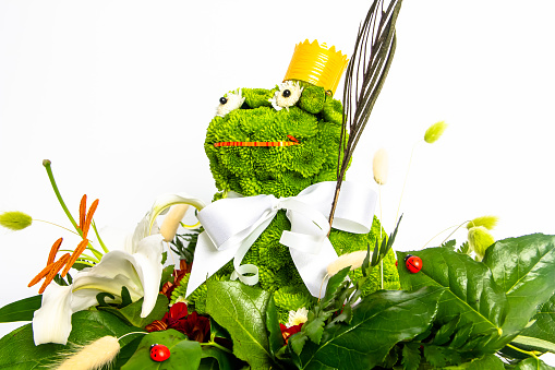 Unusual bouquet in the form of a frog with a lily on a white background