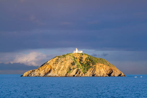 istock Islet of Palmaiola (Tuscan Archipelago, Italy) 1309535737