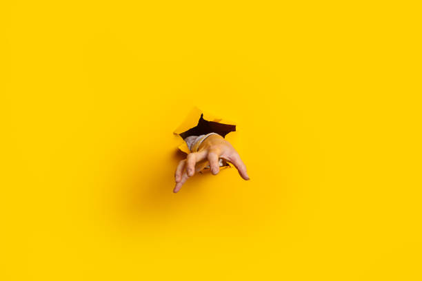 istock Woman's hand is extended and grabs something from a hole in the wall against a yellow background. Banner 1309537180