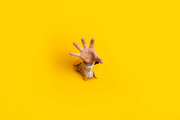 istock Woman's hand is extended and grabs something from a hole in the wall against a yellow background. Banner 1309537188