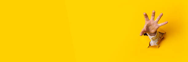 istock Woman's hand is extended and grabs something from a hole in the wall against a yellow background. Banner 1309537270