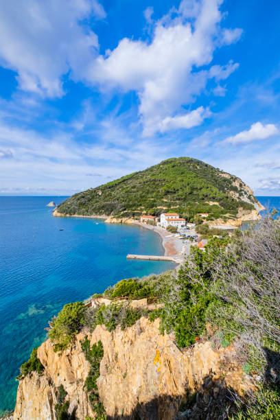 istock Enfola Promontory on Elba (Tuscan Archipelago, Italy) 1309539109