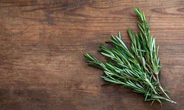 fresh rosemary herb on a wooden  background. top view rosemary with  copy space. cooking concept - rosemary imagens e fotografias de stock