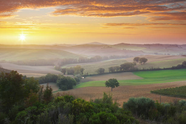 istock Sunrise in Tuscany 1309543126