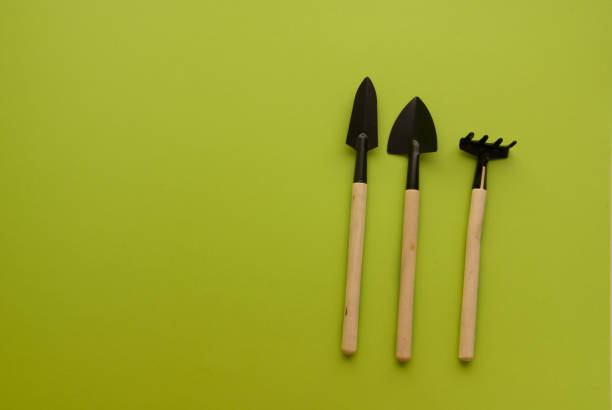 istock Small garden tools spade and Rake with Wooden handle and Black base for Indoor plants on green background 1309543986