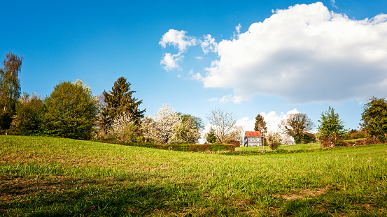 Beautiful spring landscape with blossoming cherry trees, house, meadow and cloudy blue sky. Panoramic view