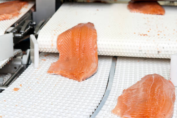 istock Salmon fish factory processing line detail 1309547701