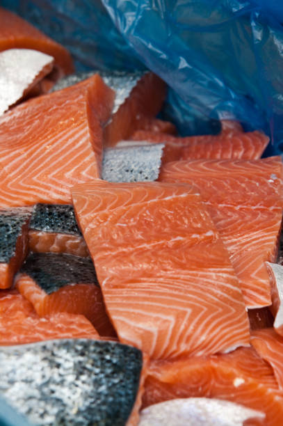 istock Salmon fish factory processing line detail 1309547825
