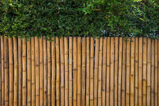 istock Bamboo fence and green tree. home decoration 1309548602