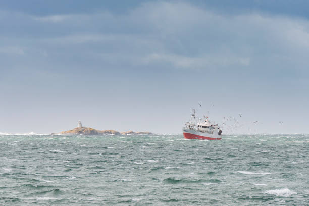 istock Trawler followed by Seagulls 1309551100