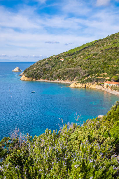 istock Enfola Promontory, Elba (Tuscan Archipelago, Italy) 1309554127