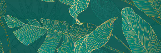 illustrazioni stock, clip art, cartoni animati e icone di tendenza di foglie di palma, design di copertine artistiche, sfondi moderni. motivo minimalista, illustrazione grafica di lusso - motivo tropicale