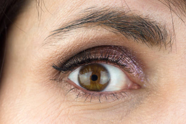 istock Female eye with lush eyelashes and makeup eyelids, close-up 1309560887