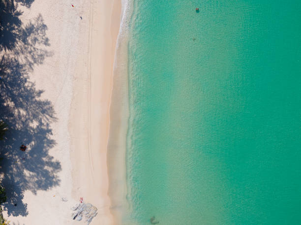 istock Aerial view top beach in summer sun 1309564058