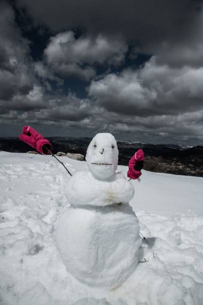 istock snowman and storm clouds 1309564078