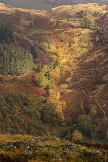istock Views from The English Lake District 1309564467