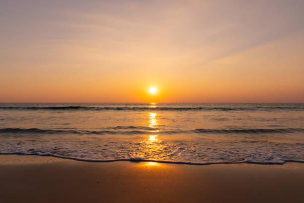 istock Sunset in beach sea 1309566517
